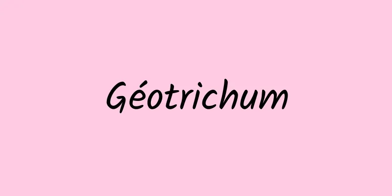 Géotrichum