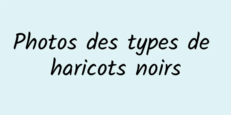 Photos des types de haricots noirs