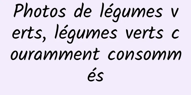 Photos de légumes verts, légumes verts couramment consommés