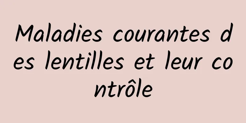 Maladies courantes des lentilles et leur contrôle