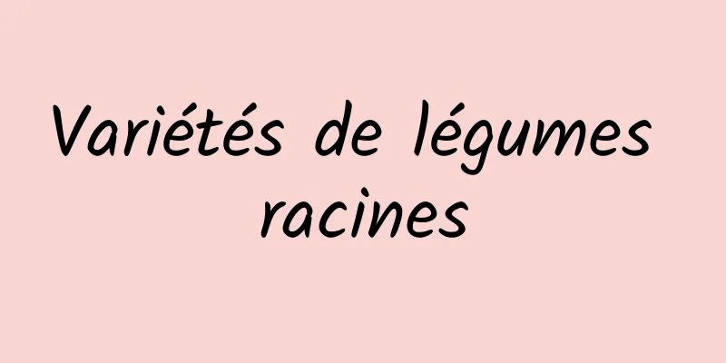 Variétés de légumes racines