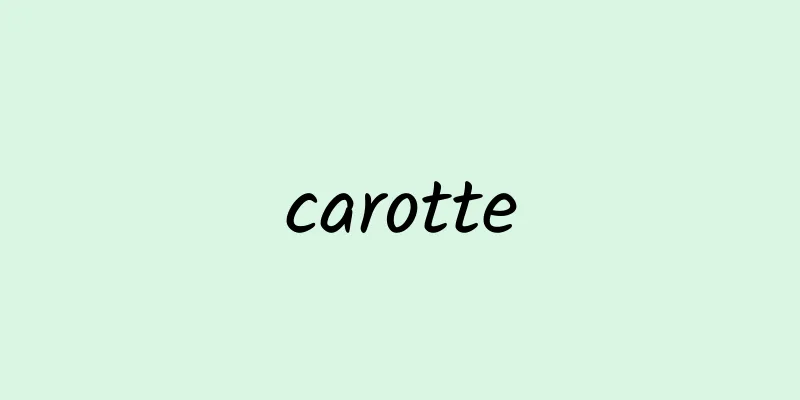 carotte