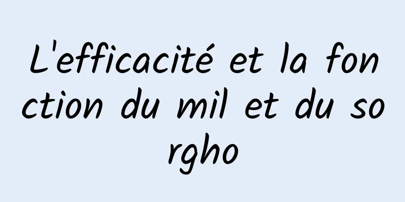 L'efficacité et la fonction du mil et du sorgho