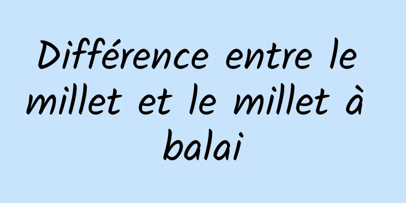 Différence entre le millet et le millet à balai