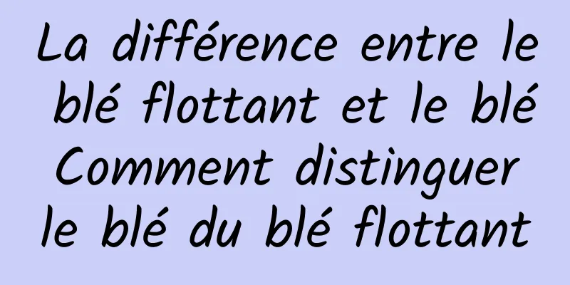 La différence entre le blé flottant et le blé Comment distinguer le blé du blé flottant