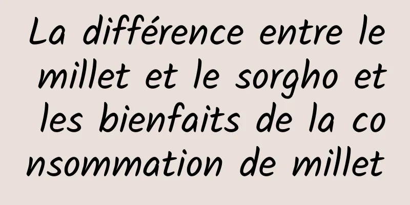 La différence entre le millet et le sorgho et les bienfaits de la consommation de millet