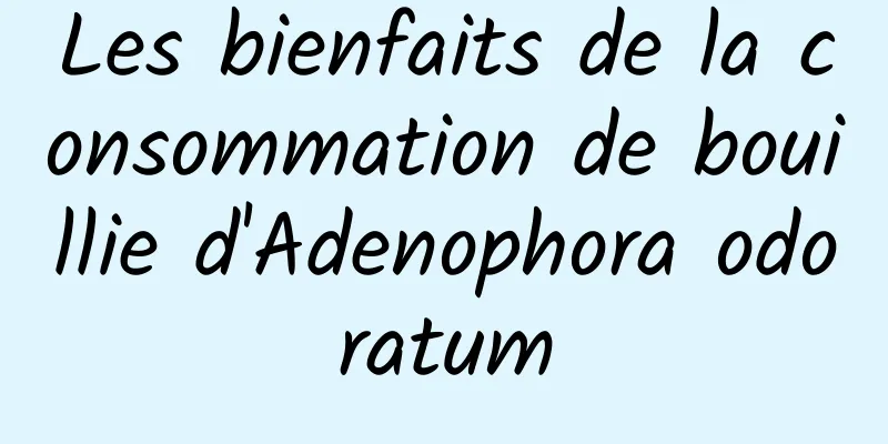 Les bienfaits de la consommation de bouillie d'Adenophora odoratum