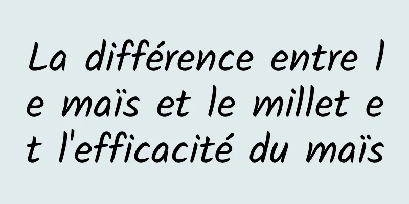 La différence entre le maïs et le millet et l'efficacité du maïs