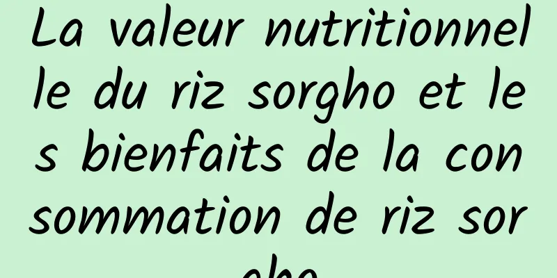 La valeur nutritionnelle du riz sorgho et les bienfaits de la consommation de riz sorgho