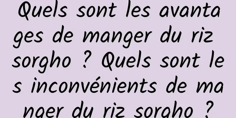 Quels sont les avantages de manger du riz sorgho ? Quels sont les inconvénients de manger du riz sorgho ?