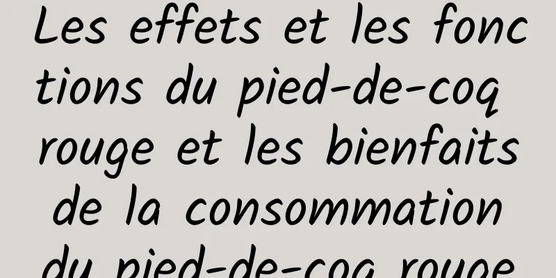 Les effets et les fonctions du pied-de-coq rouge et les bienfaits de la consommation du pied-de-coq rouge