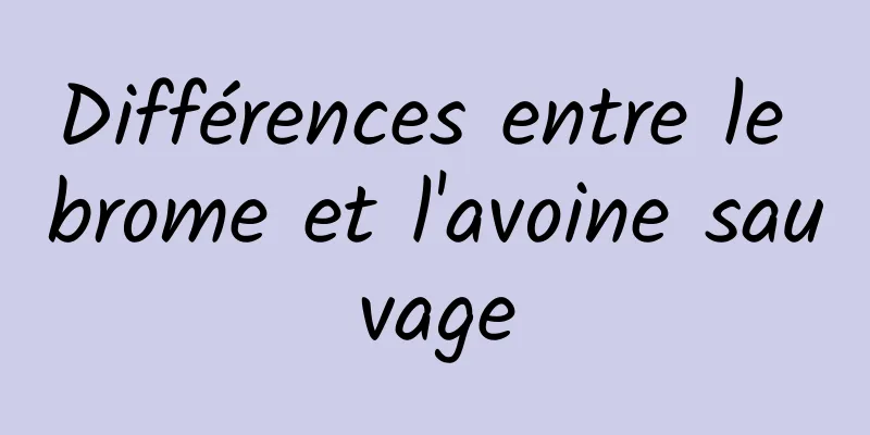 Différences entre le brome et l'avoine sauvage