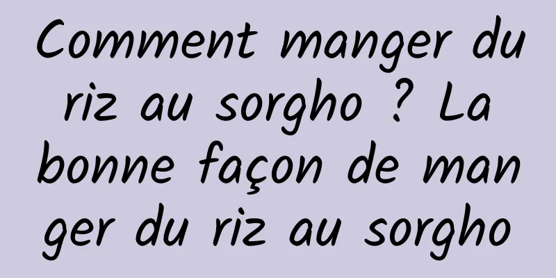 Comment manger du riz au sorgho ? La bonne façon de manger du riz au sorgho