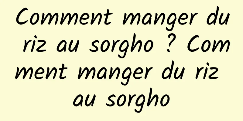 Comment manger du riz au sorgho ? Comment manger du riz au sorgho