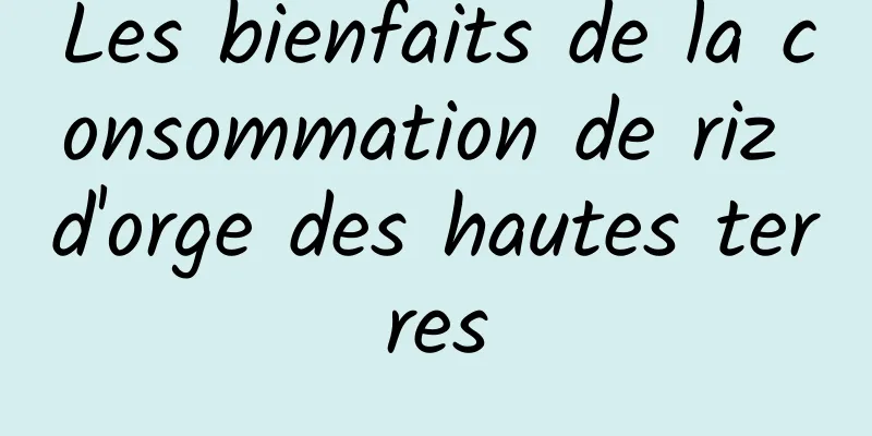 Les bienfaits de la consommation de riz d'orge des hautes terres