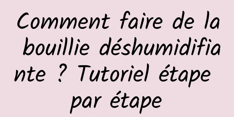 Comment faire de la bouillie déshumidifiante ? Tutoriel étape par étape