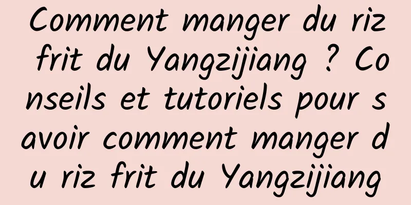 Comment manger du riz frit du Yangzijiang ? Conseils et tutoriels pour savoir comment manger du riz frit du Yangzijiang