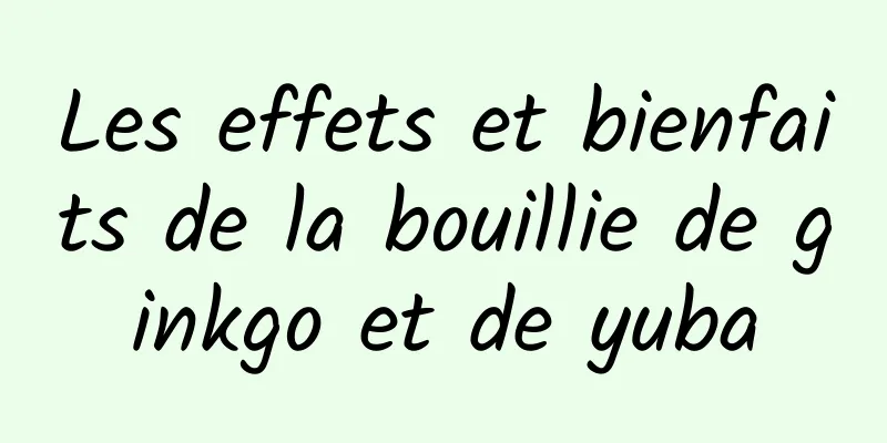 Les effets et bienfaits de la bouillie de ginkgo et de yuba