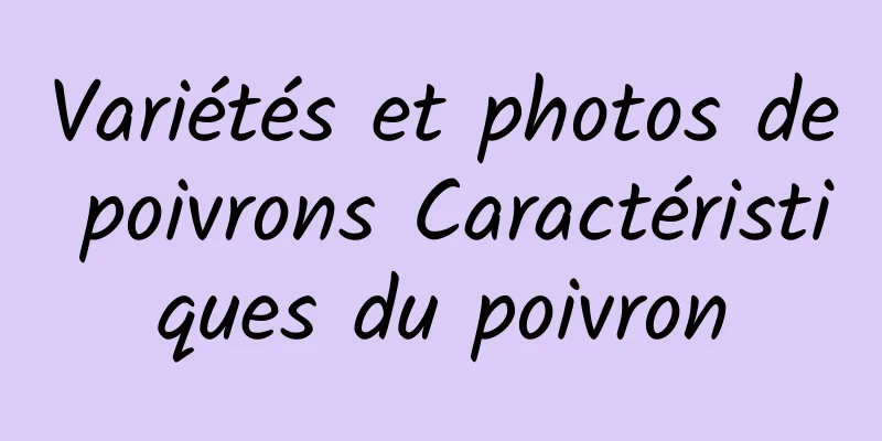 Variétés et photos de poivrons Caractéristiques du poivron