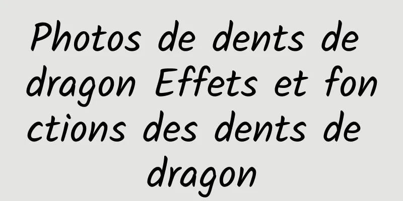 Photos de dents de dragon Effets et fonctions des dents de dragon