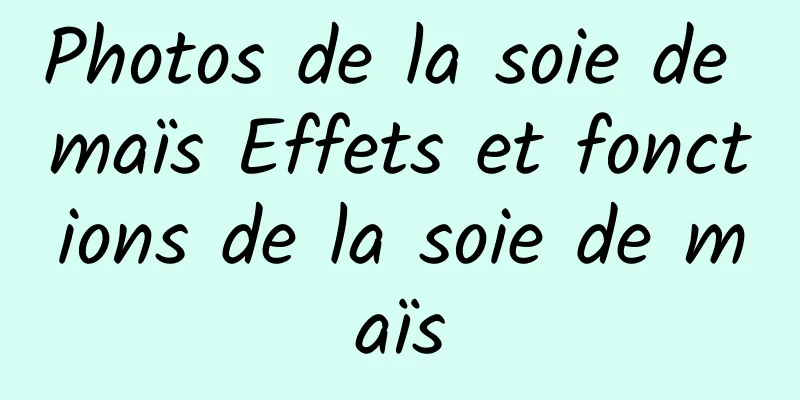 Photos de la soie de maïs Effets et fonctions de la soie de maïs