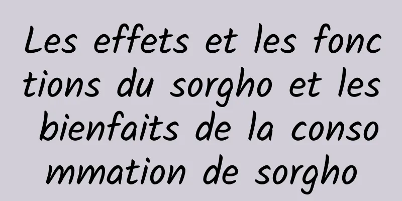 Les effets et les fonctions du sorgho et les bienfaits de la consommation de sorgho