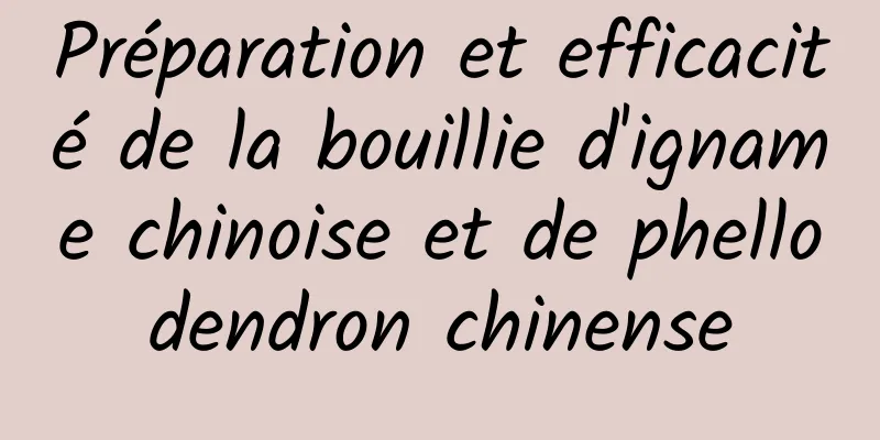 Préparation et efficacité de la bouillie d'igname chinoise et de phellodendron chinense