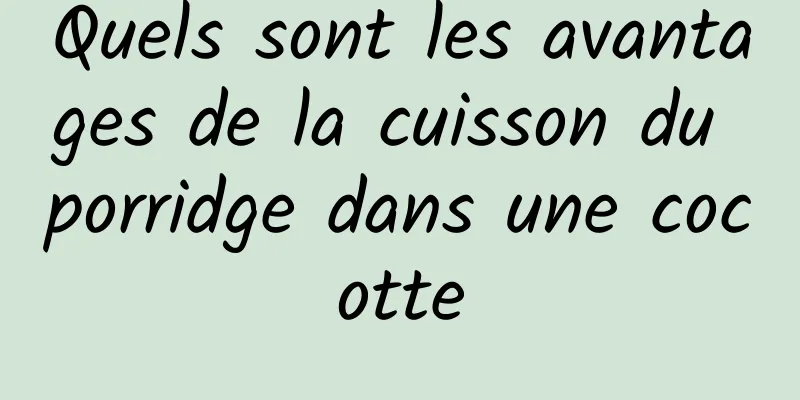 Quels sont les avantages de la cuisson du porridge dans une cocotte