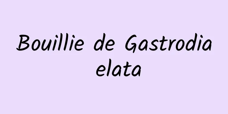 Bouillie de Gastrodia elata