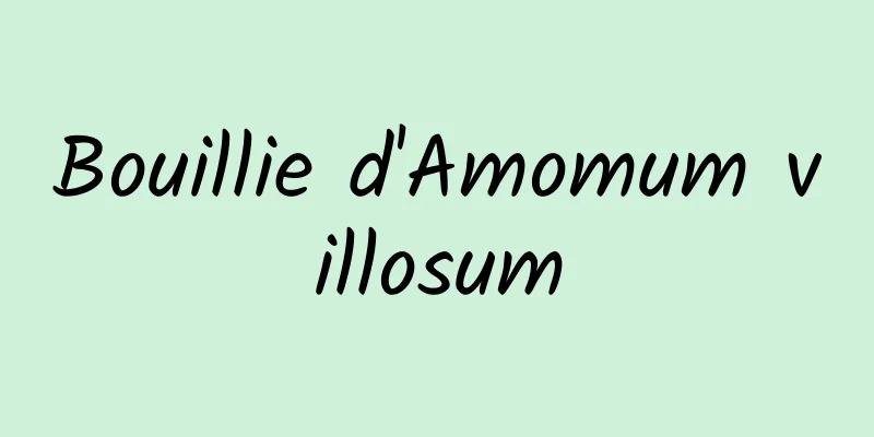 Bouillie d'Amomum villosum