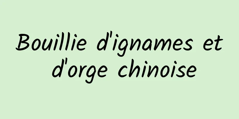 Bouillie d'ignames et d'orge chinoise