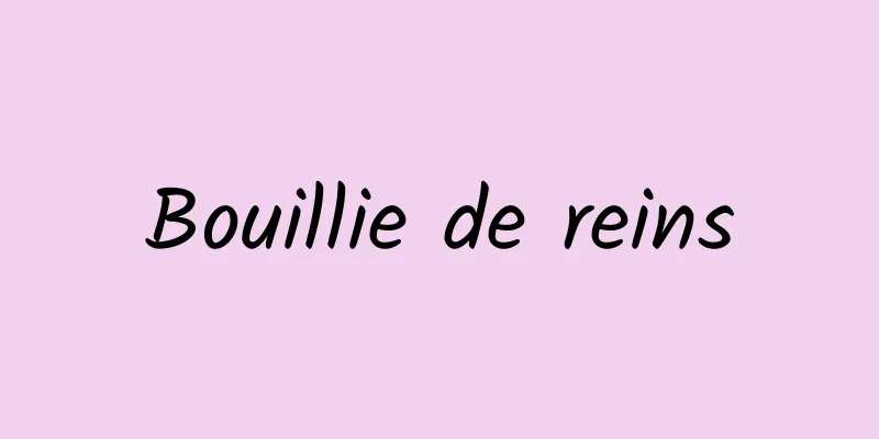 Bouillie de reins