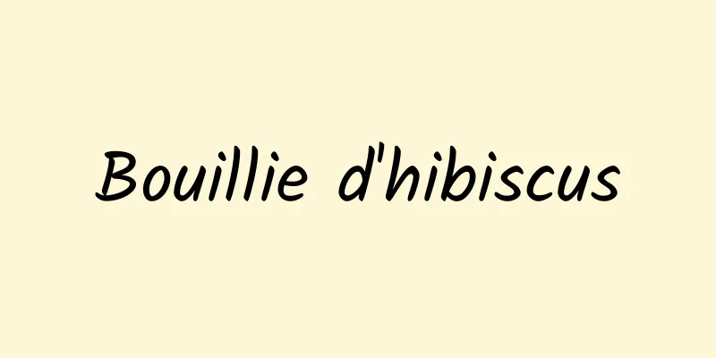 Bouillie d'hibiscus