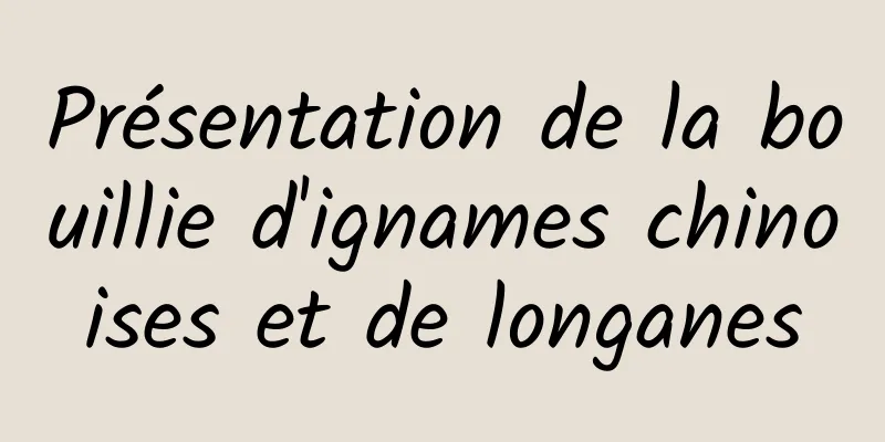 Présentation de la bouillie d'ignames chinoises et de longanes