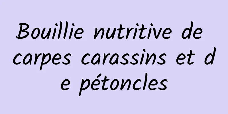 Bouillie nutritive de carpes carassins et de pétoncles