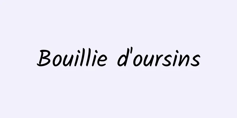 Bouillie d'oursins