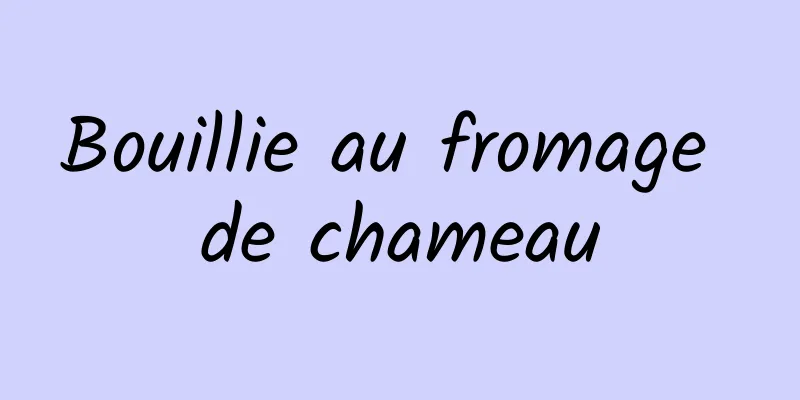 Bouillie au fromage de chameau