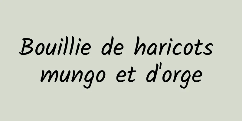 Bouillie de haricots mungo et d'orge