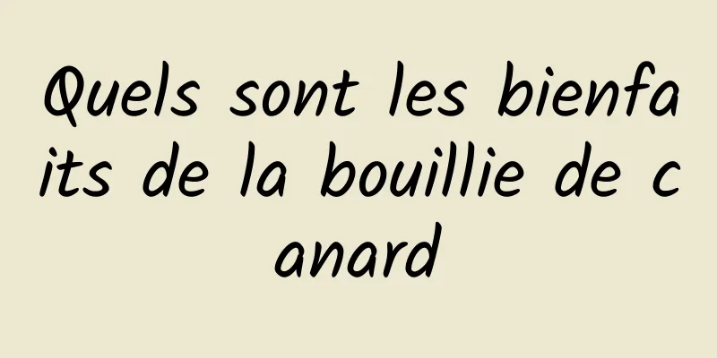 Quels sont les bienfaits de la bouillie de canard