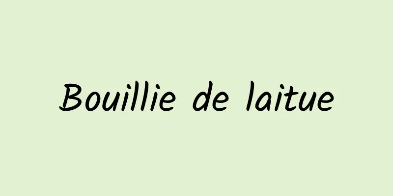 Bouillie de laitue