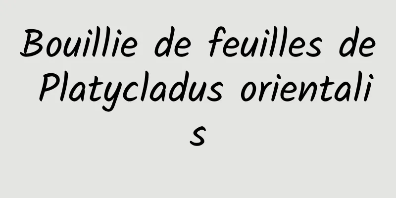 Bouillie de feuilles de Platycladus orientalis