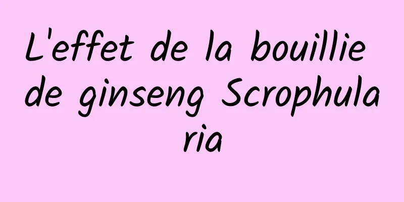 L'effet de la bouillie de ginseng Scrophularia