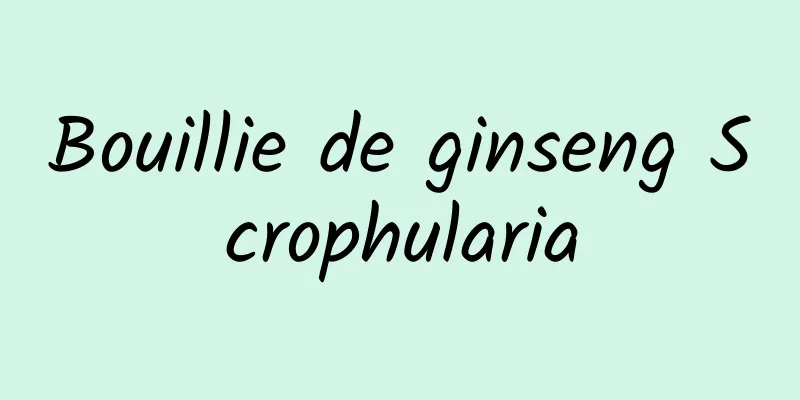 Bouillie de ginseng Scrophularia