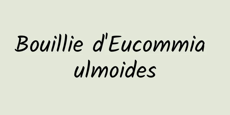 Bouillie d'Eucommia ulmoides