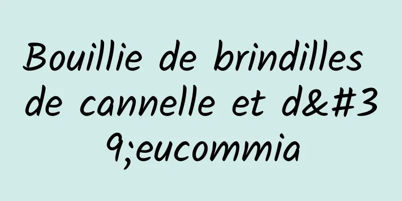 Bouillie de brindilles de cannelle et d'eucommia