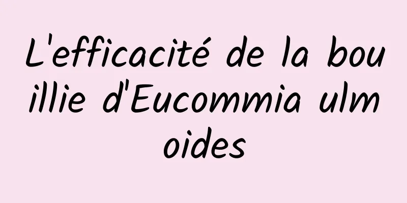 L'efficacité de la bouillie d'Eucommia ulmoides