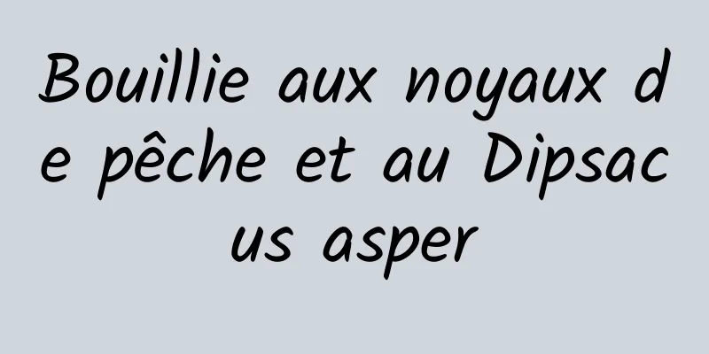 Bouillie aux noyaux de pêche et au Dipsacus asper