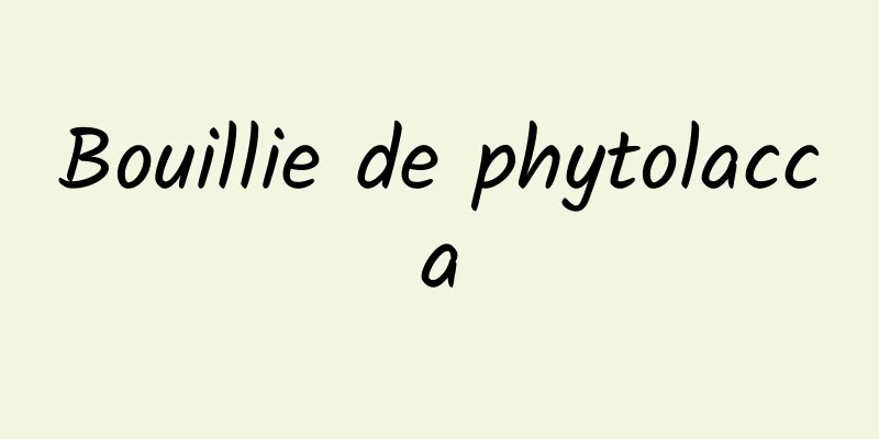 Bouillie de phytolacca