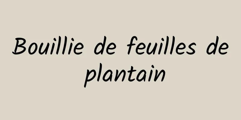 Bouillie de feuilles de plantain