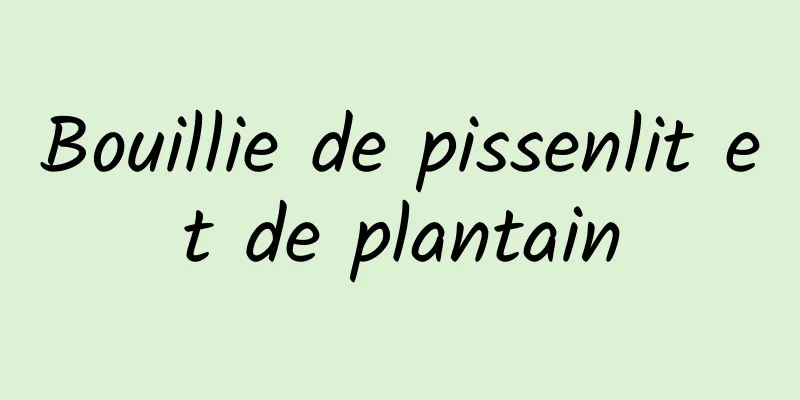 Bouillie de pissenlit et de plantain